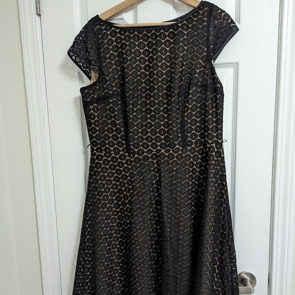 NWT Black Lace Dress - Black Label by Evan-Picone  12